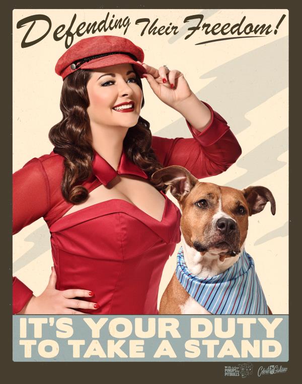 /Images/uploads/Pinups for Pitbulls/greatestpits/entries/13093thumb.jpg